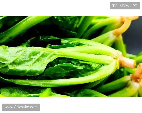 白菜平台网菠菜论坛：探索最新菠菜资讯与交流